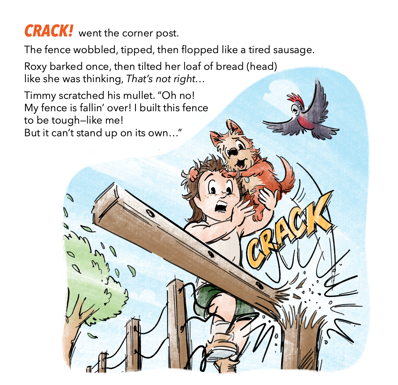 Timmy and the Wonky Fence